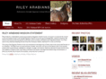 rileyarabians.com