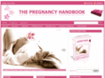 thepregnancyhandbook.com