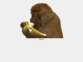 flukemonkey.com