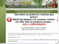 formandonegocios.net
