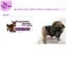 jj-pets.hu