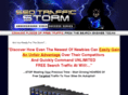 seotrafficstorm.com