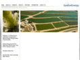 sunecoenergy.com