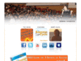 trainingvisions.com
