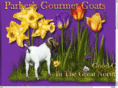 parkersgourmetgoats.com