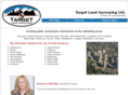 abbotsfordsurveyor.com