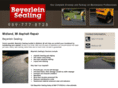 beyerleinsealing.com