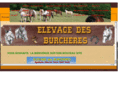 elevagedesburcheres.com