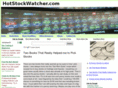 hotstockwatcher.com