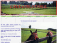 lakesidestable.com