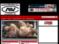 madisonwrestlingclub.com