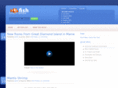 southtampafish.com