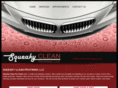 squeakycleanpros.com
