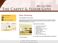 thecarpetandfloorguysca.com