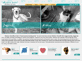 wiskersresort.com
