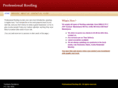 professionalroofing.info