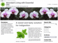 abundantlivingwithessentialoils.com