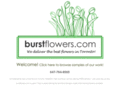 burstflowers.com