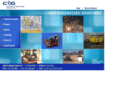conceptengineeringgroup.com