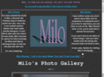 desertmilo.com