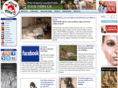 four-paws.co.uk