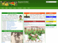 guyana-cricket.com