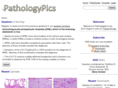 pathpics.org