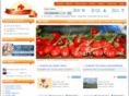 gojisepeti.com