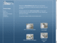 ledfibreilluminator.com