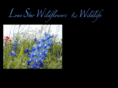 lonestarwildflowers.com