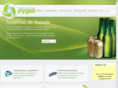 pygsavision.com