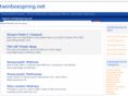 twinboxspring.net