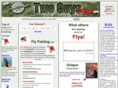 twoguyswithflys.com