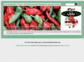 woodlandchili.com