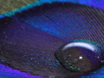 advancedsign.com