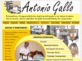 antoniogallo.com.br