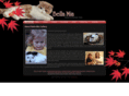 bellamiacattery.com