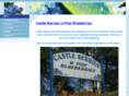 castleberriesu-pick.com