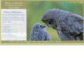 wildbynaturegallery.com