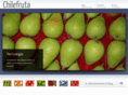 chilefruta.com