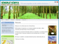 sinerjikimya.net