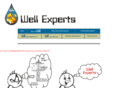 wellexperts.com