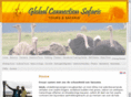 globalconnectiontz.com