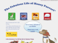honeyfurrari.com