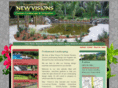 newvisioninfo.com