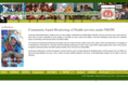 nrhmcommunityaction.org