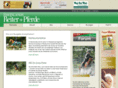 reiter-pferde.de
