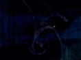 thewyrddoctor.com