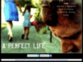 a-perfect-life.com