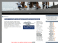 bluepointtiming.com